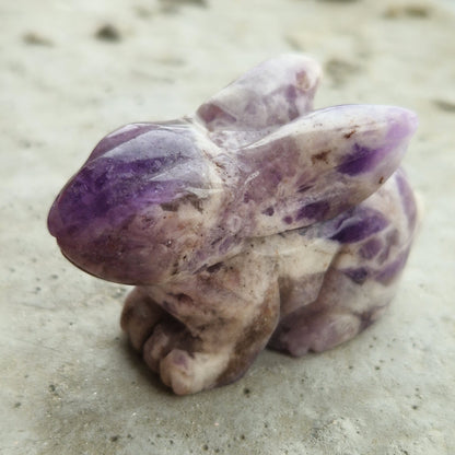 Bio-resonance imprinted healing amethyst crystal rabbit