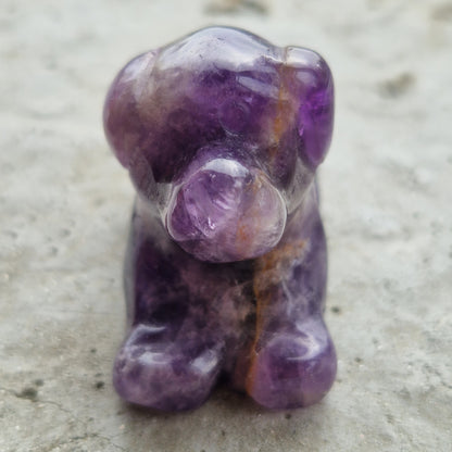 An amethyst crystal dog for healing from the loss of a pet